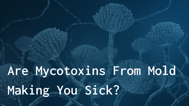  Are Mycotoxins from molds making you sick? 
