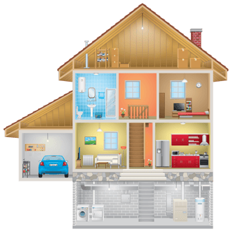 Moldy House_