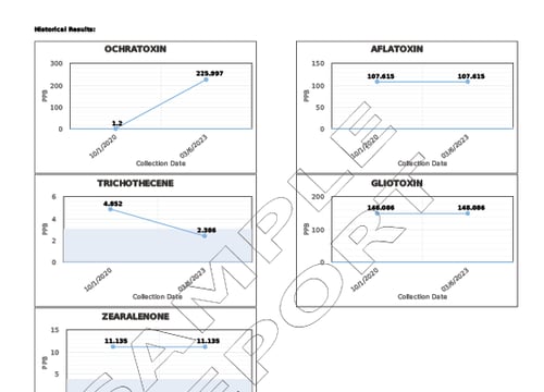 Mycotoxin Basic 2