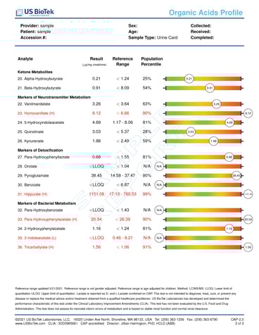 Sample Report - Organic Acids Profile - page 2